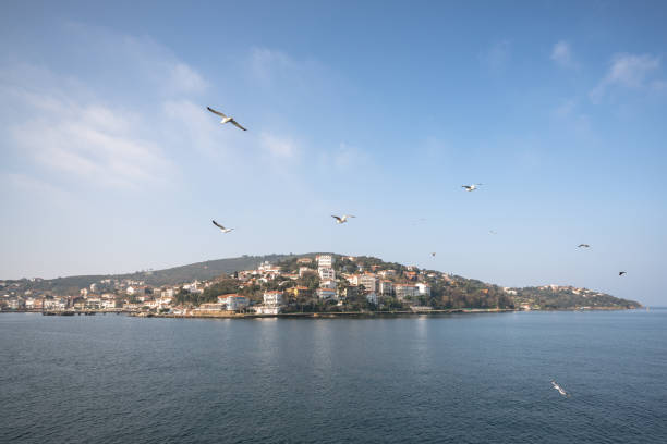 Spring ferry, Burgazada, Heybeliada, Buyukada, gulls, crows, Prince Islands, Turkey