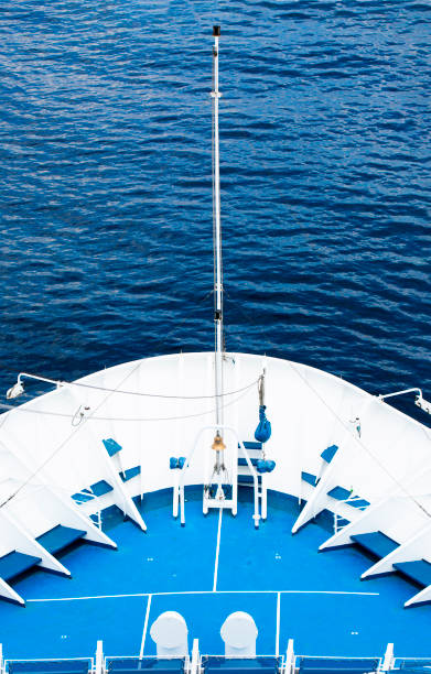 Rudder