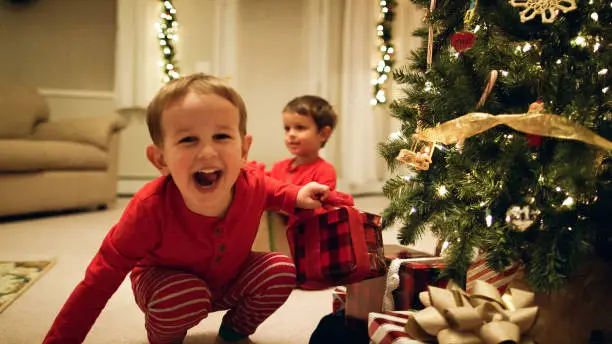 Two Cute, Young (Three and Five Year-Old) Caucasian Boys in Pajamas Excitedly Pick Up Christmas Presents from Underneath the Christmas Tree on Christmas Morning