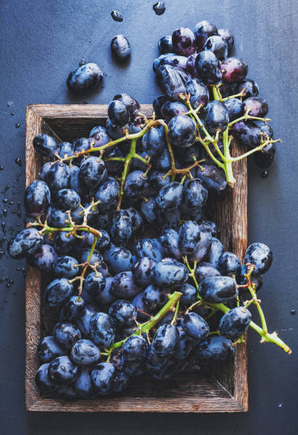 Purple grape stock photo