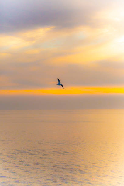 Sunrise over ocean - Stock image