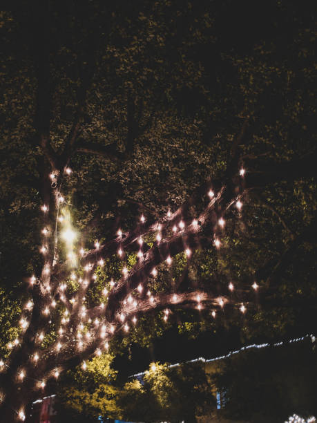 istock Under the Western Stars 1078714322