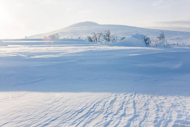 istock Northern Ural, Komi Republic, Russian landscape 1078722586