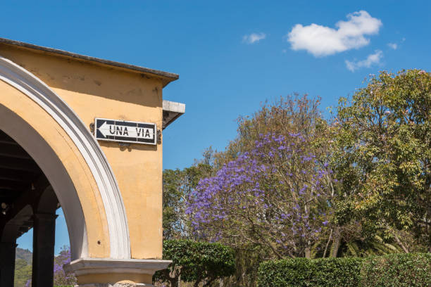 istock One Way Sign Antigua Guatemala 1078745070