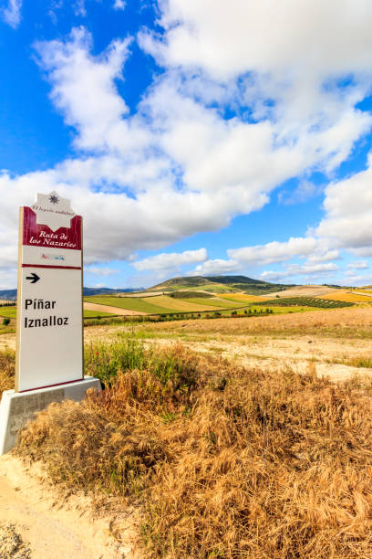 istock Signpost to Pinar Iznalloz 1078749788