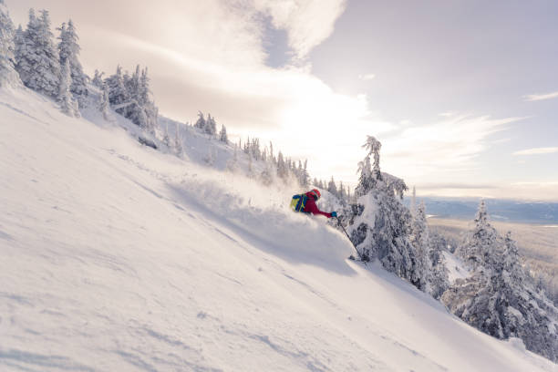 istock Skiing on a powder day 1078780734