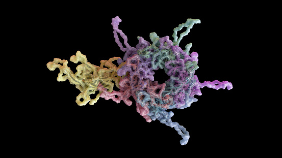 3D CG rendered image of scientifically accurate Human Papilloma Virus (HPV) Capsid Structure based on PDB : 3J6R (capsomere)