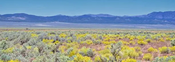 Utah Rocky Mountain Wasatch Panoramic Landscapes by Fishlake National Forest, along Interstate 15 I-15, through Holden, Fillmore, Beaver, Scipio and Parowan Utah, USA.