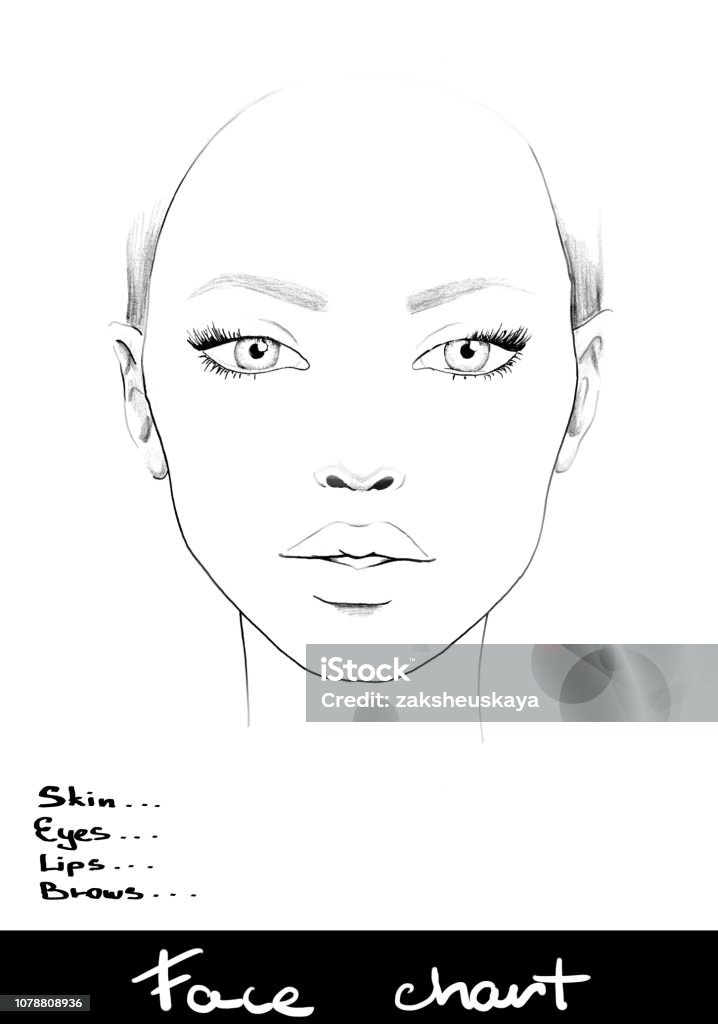 Tableau De Visage Maquillage Artiste Blanc Portrait De La Belle Femme  Tableau De Visage Artiste En Maquillage Blanc Modèle Vecteurs libres de  droits et plus d'images vectorielles de Adulte - iStock