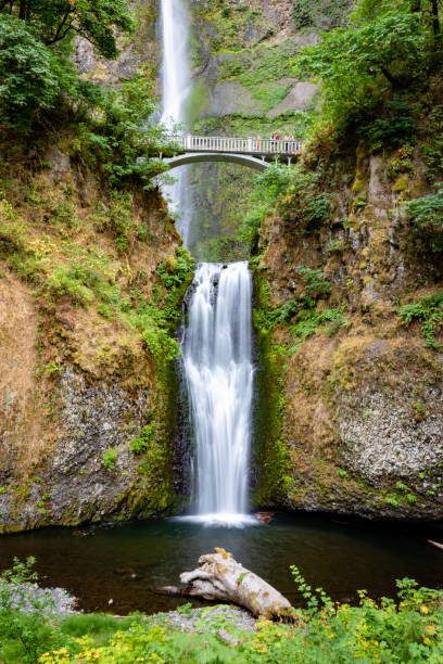 istock Multnomah Falls during Summer Close-up 7 1078811612