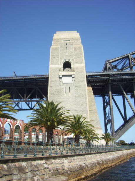 istock Sydney harbour bridge column and palm trees 1078828796