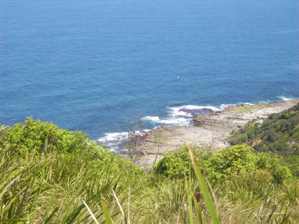 istock Green grass, rocks and seascape 1078830806