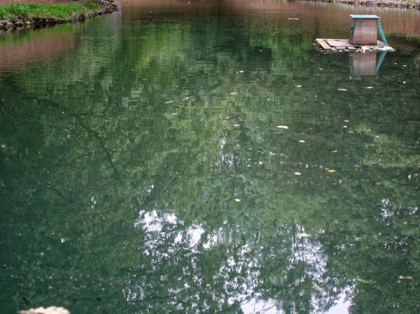 istock small pond in Moscow in summer 1078846204
