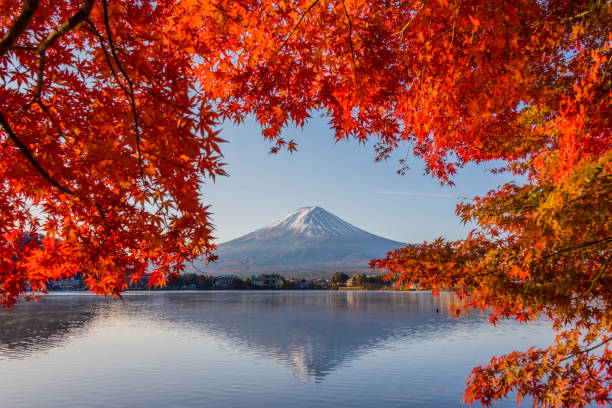 istock Mount Fuji in Autumn 1078869930