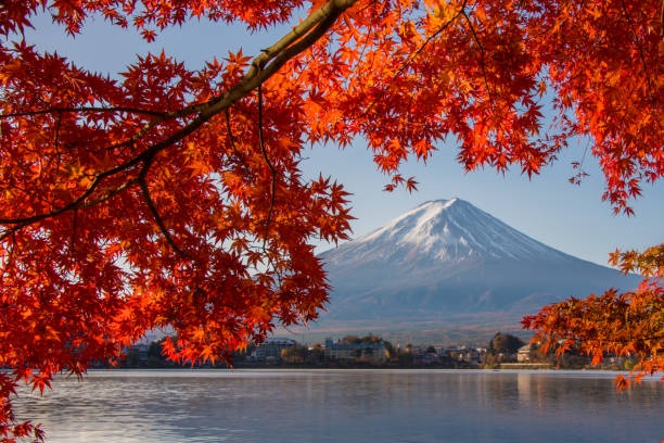 istock Mount Fuji in Autumn 1078872330