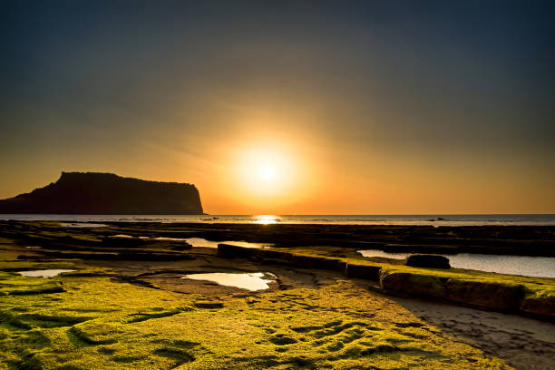 istock Sunrise on the beach VD702 1078873232