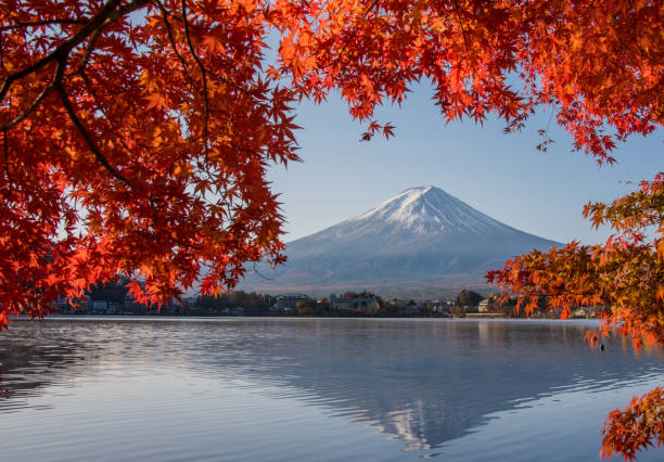 istock Mount Fuji in Autumn 1078873318