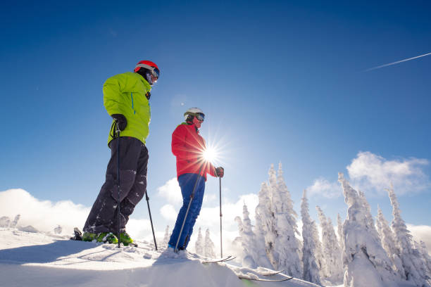 istock Skiers enjoying view 1078873562