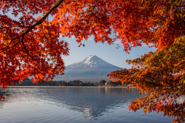 istock Mount Fuji in Autumn 1078873678