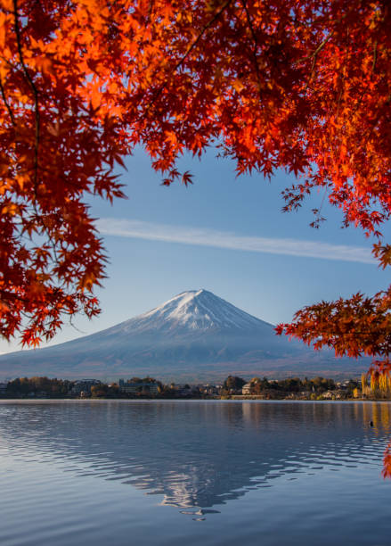 istock Mount Fuji in Autumn 1078874116