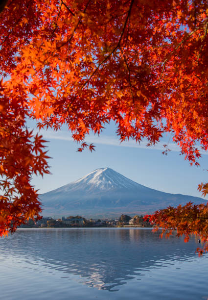 istock Mount Fuji in Autumn 1078874384