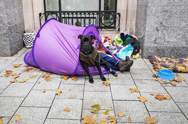 Cardiff, UK: November 16, 2018: A homeless man is sleeping in a tent with his dog beside him - baggage and belongings are scattered all around.