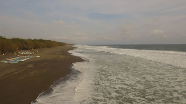 istock sandy beach near the ocean 1078912040