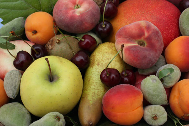 istock Basket of various fruits 1078915042