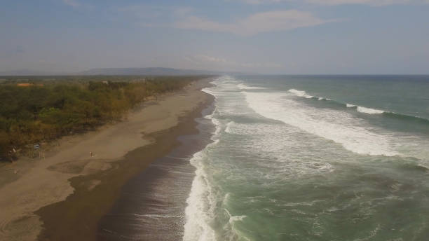 istock sandy beach near the ocean 1078915394