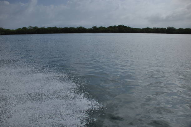 istock Transport by motorboat between islands in Indonesia 1078920412
