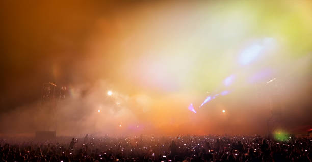 istock Audience At Music Concert 1078936174