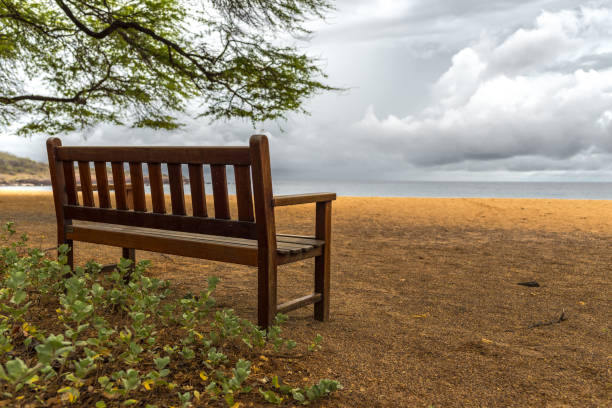 istock Wooden Bench under Tree on Island Beach 1078943026