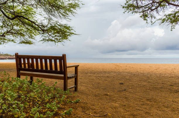 istock Wooden Bench on a Serene Morning on Island Beach 1078943082