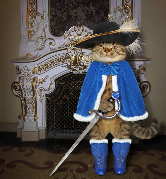 Cat in a blue cloak near a fireplace The cat musketeer in a blue cloak and a black hat with a feather holds a sword near a fireplace in the castle. black cat costume stock pictures, royalty-free photos & images