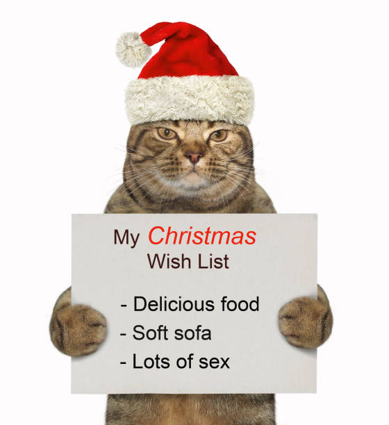 istock Cat holds the Christmas wish list 3 1078943762