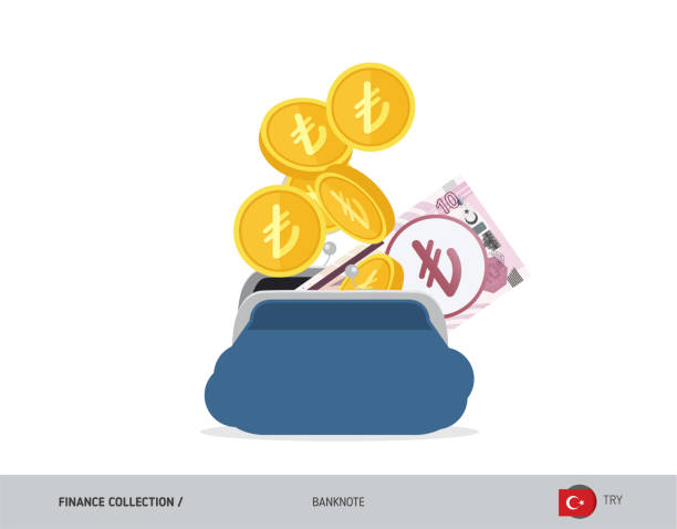 illustrazioni stock, clip art, cartoni animati e icone di tendenza di borsa aperta blu con banconote e monete da 10 lira turca. illustrazione vettoriale in stile piatto. concetto di business. - l flag