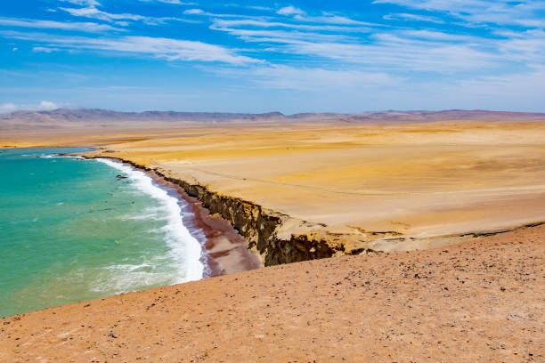 Paracas National Reserve