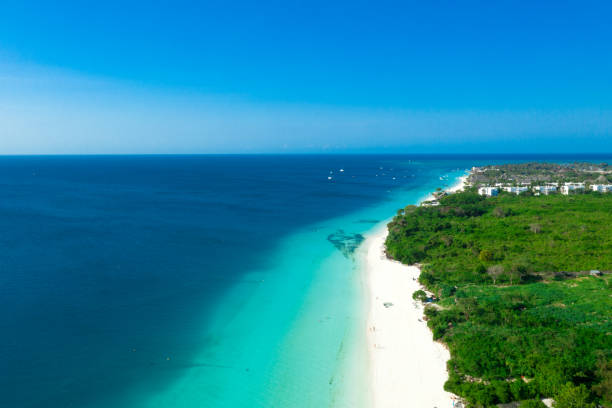 istock Amazing bird eyes view in Zanzibar 1079019484