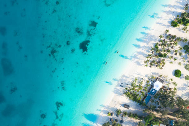istock Amazing bird eyes view in Zanzibar 1079019520
