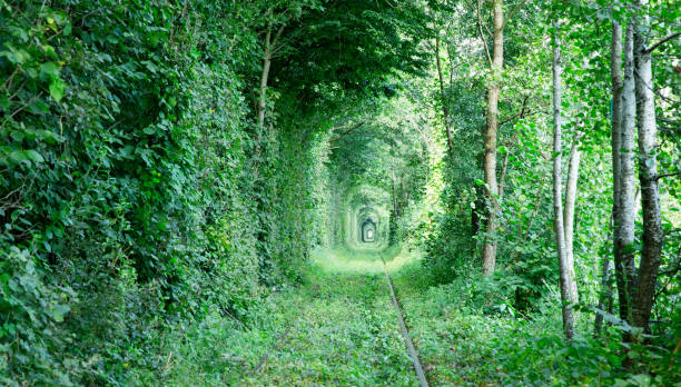 istock Tunnel of love 1079019536