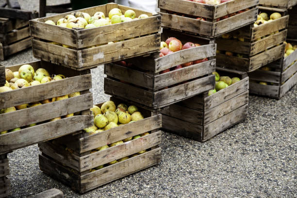 istock Apples in wooden boxes 1079030354