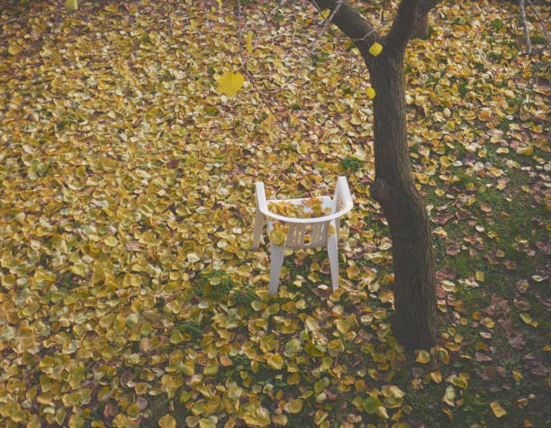 istock one plastic chair in a agrden with fallen autumnal leaves 1079032266