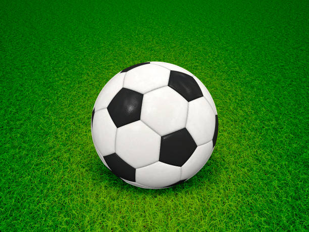istock soccer ball on green grass 1079035992