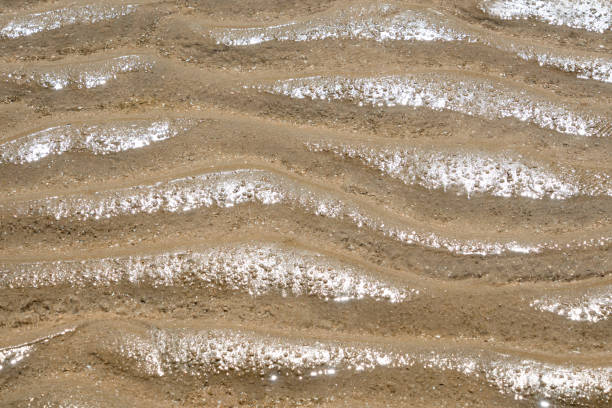 istock Wave on fine sand when the sea is ebb tide 1079054420