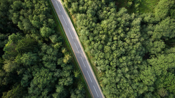 istock Drone view of road through forest during summer day 1079058132