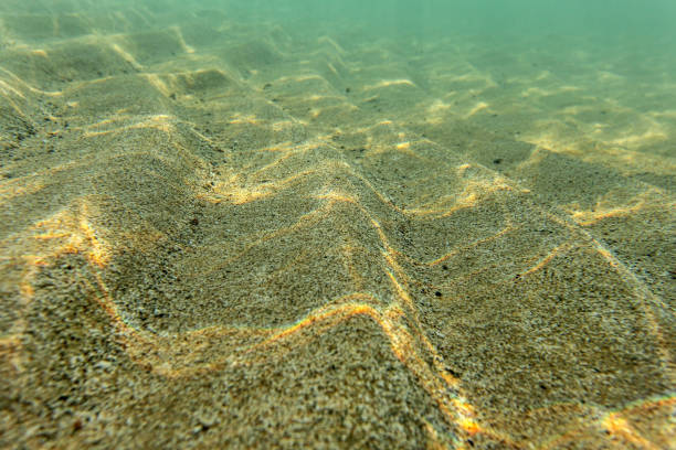 istock Shallow sea bottom, sand 