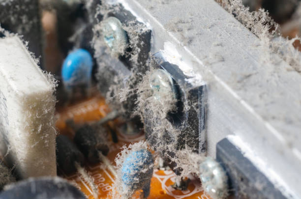 istock A thick layer of dust covers the internal electronic components of the computer 1079073320