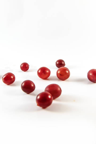 istock Ripe and delicious grapes 1079079164