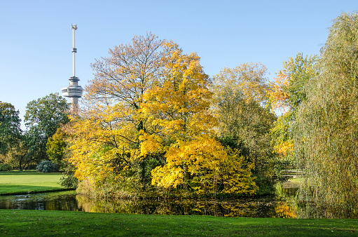 View of The Park in Rotterdam on a sunny day in autumn with a pond, trees, lawmns and in the background city icon the Euromast