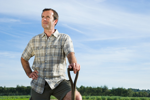 Farmer is standing in his growing soybean field.